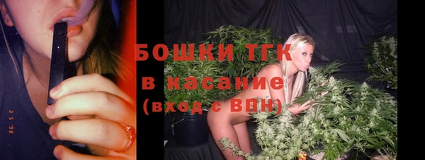 первитин Заводоуковск