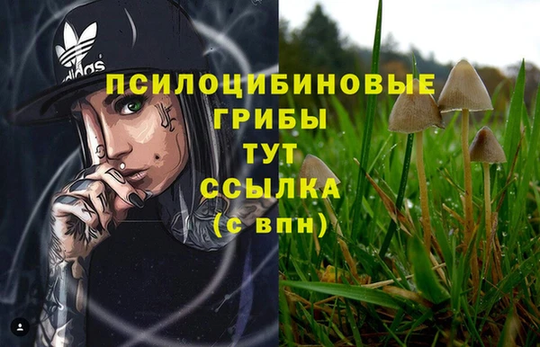 ALPHA-PVP Заволжск