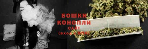 первитин Заводоуковск