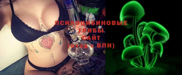 первитин Заводоуковск