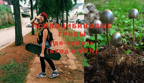 МДПВ Заволжье
