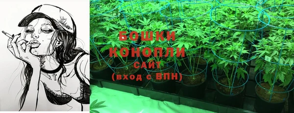 первитин Заводоуковск
