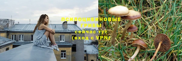 ALPHA-PVP Заволжск