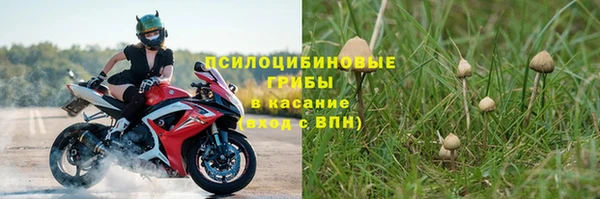 первитин Заводоуковск