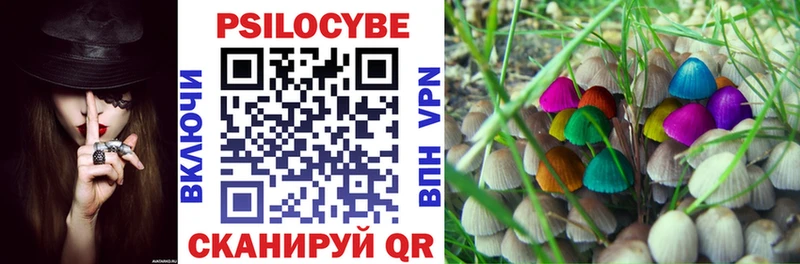 где купить наркотик  Стрежевой  Галлюциногенные грибы GOLDEN TEACHER 