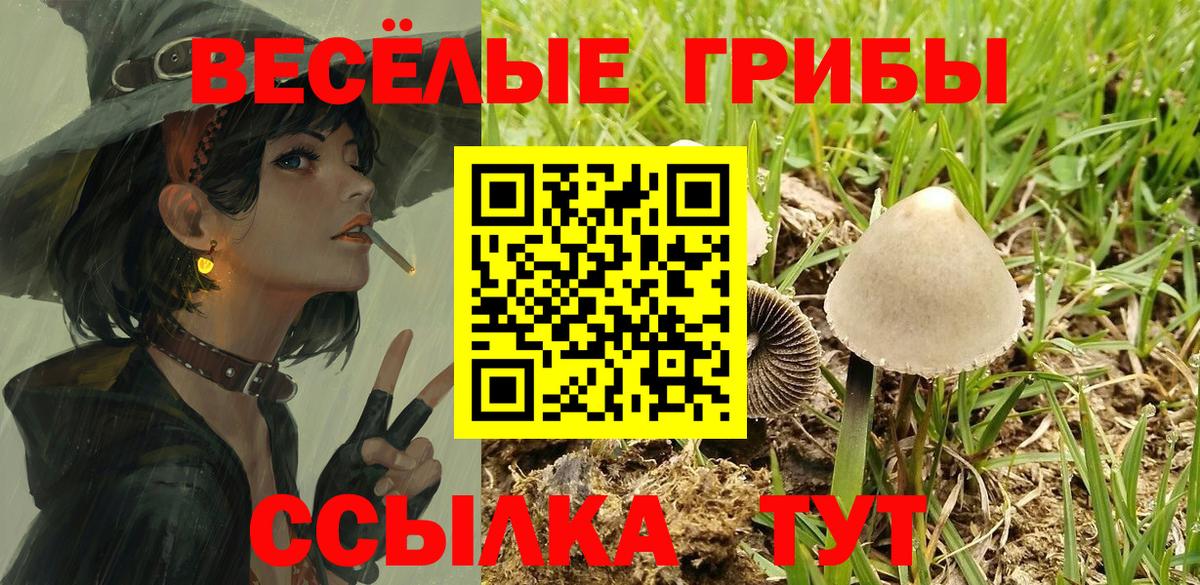 Псилоцибиновые грибы мицелий Стрежевой