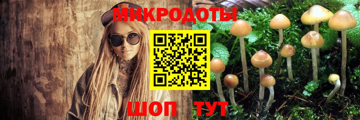 Стрежевой  Галлюциногенные грибы Psilocybine cubensis  Вход с VPN  Псилоцибиновые грибы Magic Shrooms 